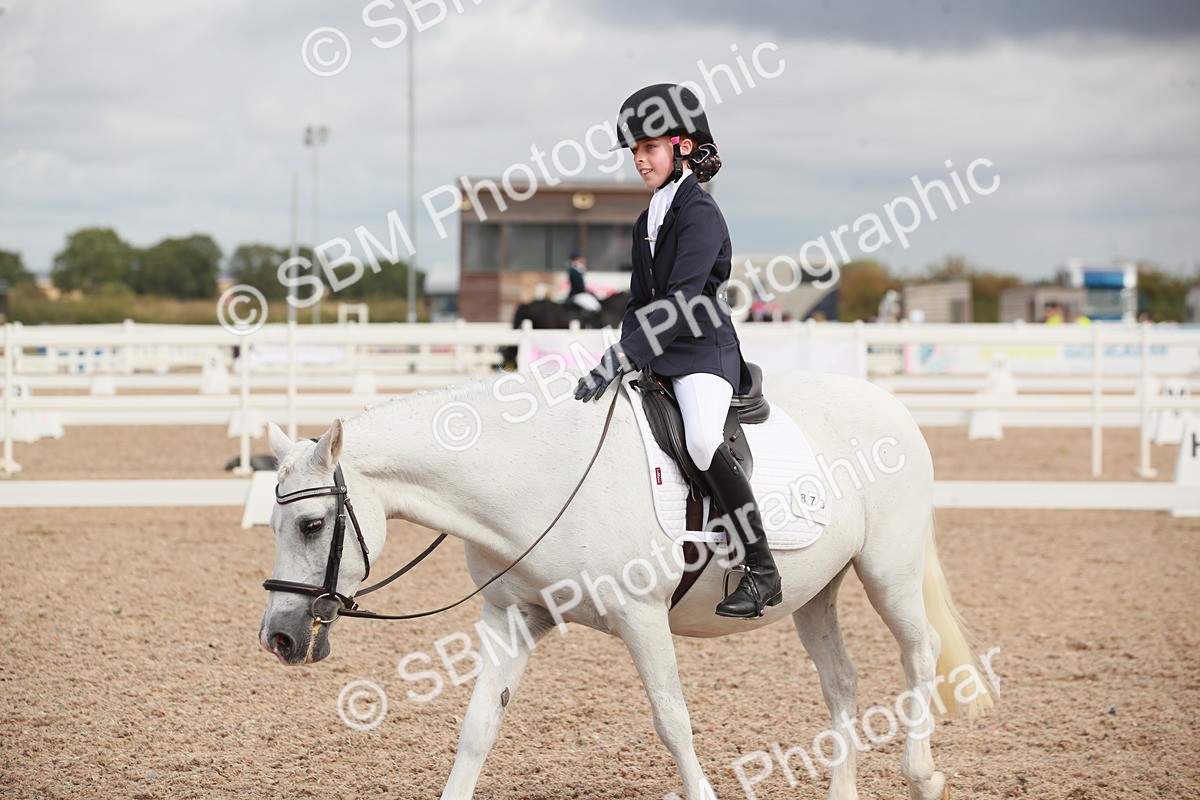 SBM_03997 - Class 31 - Prelim 1