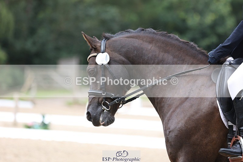 230812-103856-03295 - Cls 5 Novice Bronze Start to 10.55 break