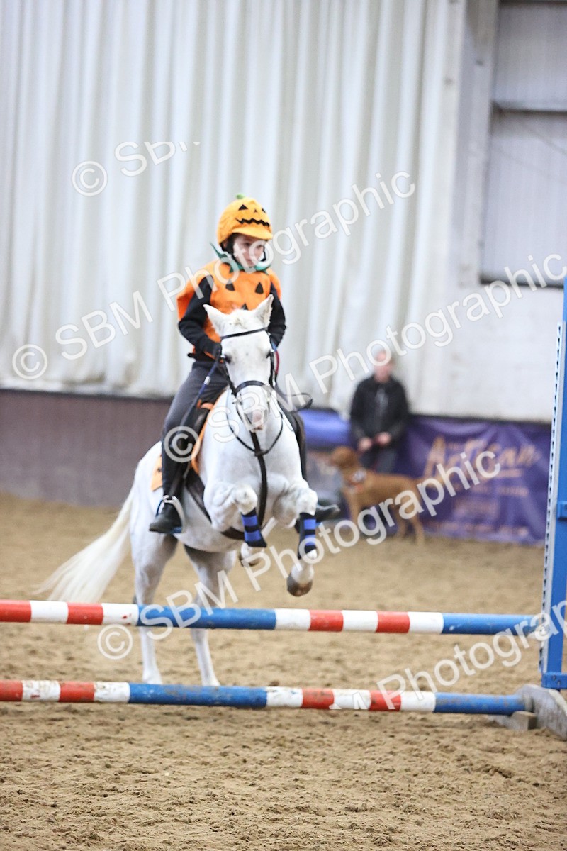 SBM_001354 - Class 3 - Horse & Hound 60cm