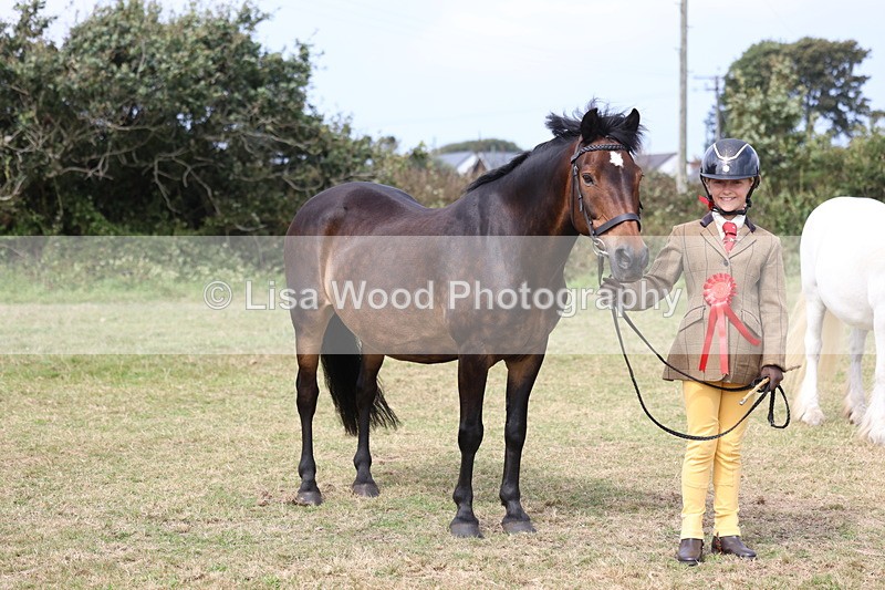 3E7A5303 - Class 18: Veteran in Hand