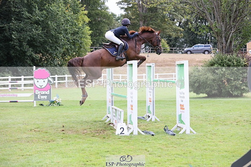 250830A-102451-04824 - Cls 14 HOYS Grade C Quali