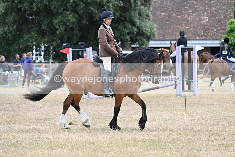WJ7_0524 - Class 6 Ridden Mountain and Moorland