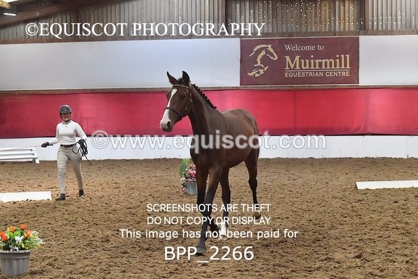 BPP_2266 - AFTERNOON 12.30 - 3.30PM