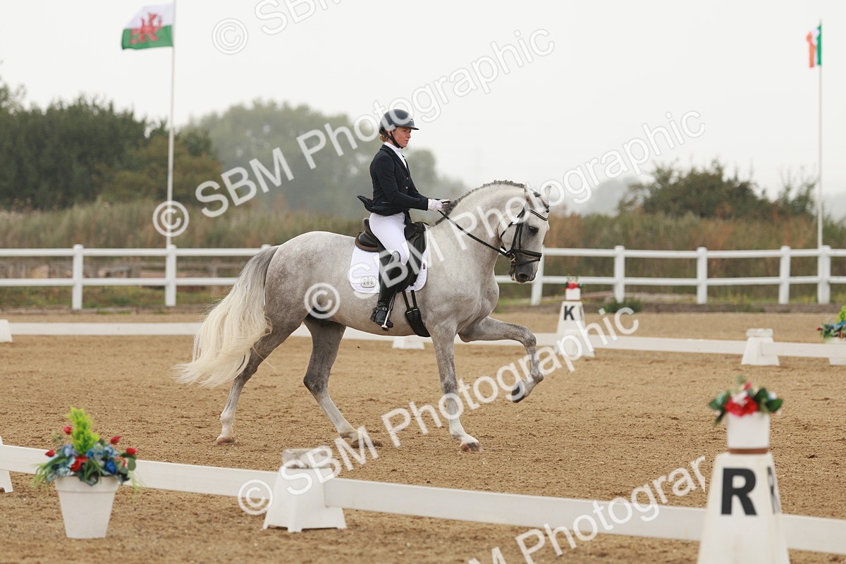 SBM_009951 - Class 11 - Elementary 6 - 12.40-13.36