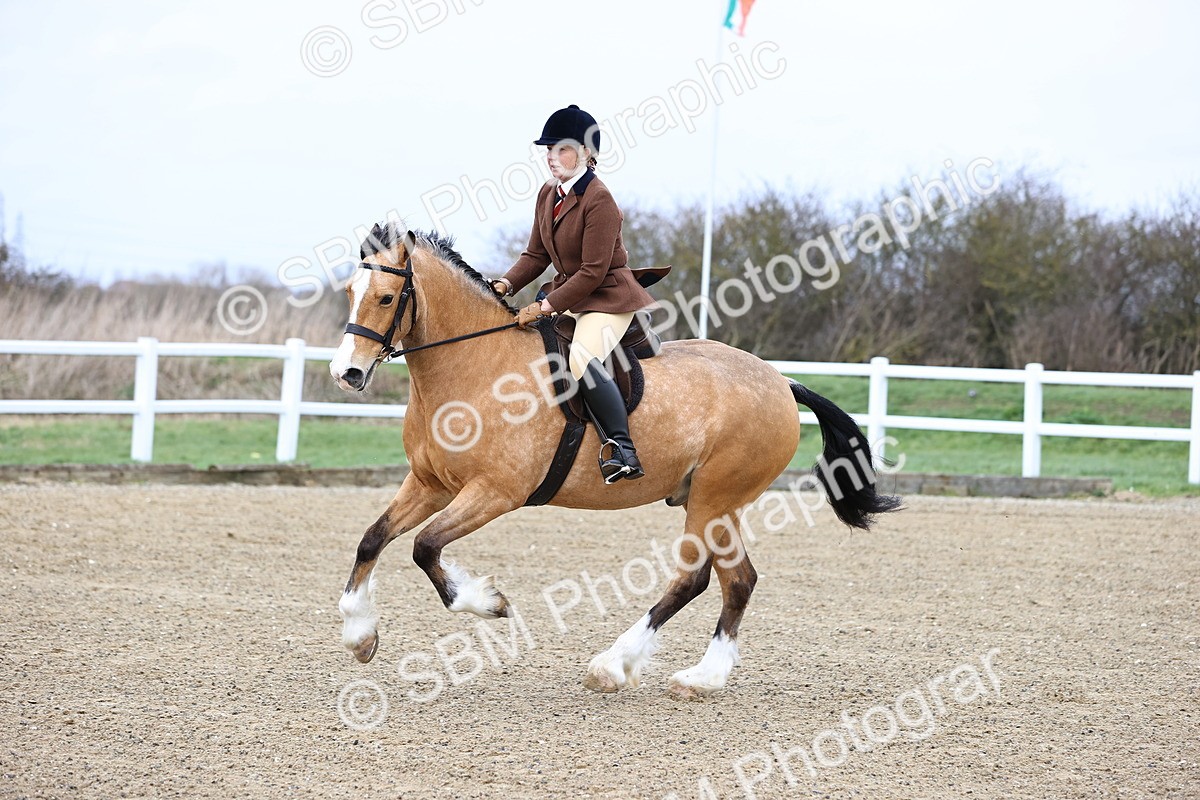 SBM_006938 - Class 29 - 30 - M&M Pure Novice Small-Large Breeds