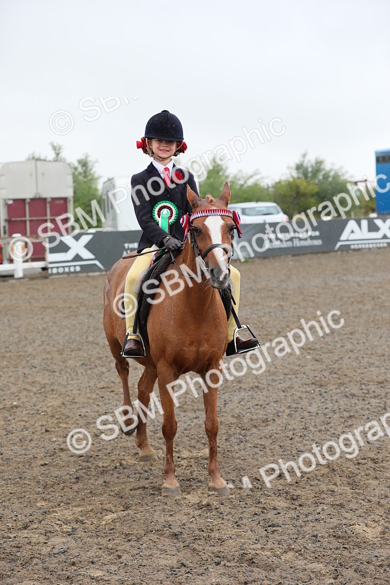 SBM_20651 - Class 804 - Ridden Veteran Pony