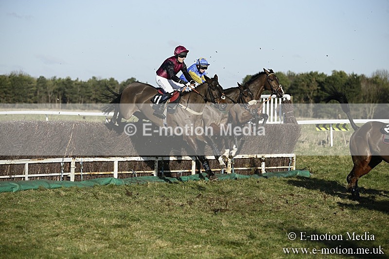 PtP 070118 -399 - Larkhill Racing Club Point to Point Larkhill 07/01/2018