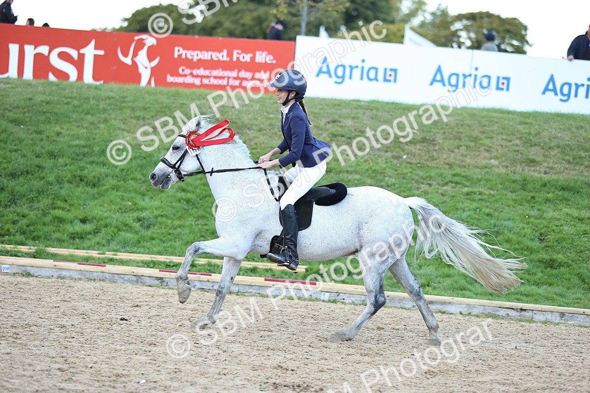 SBM_54464 - Supreme Championship 70cm 75cm