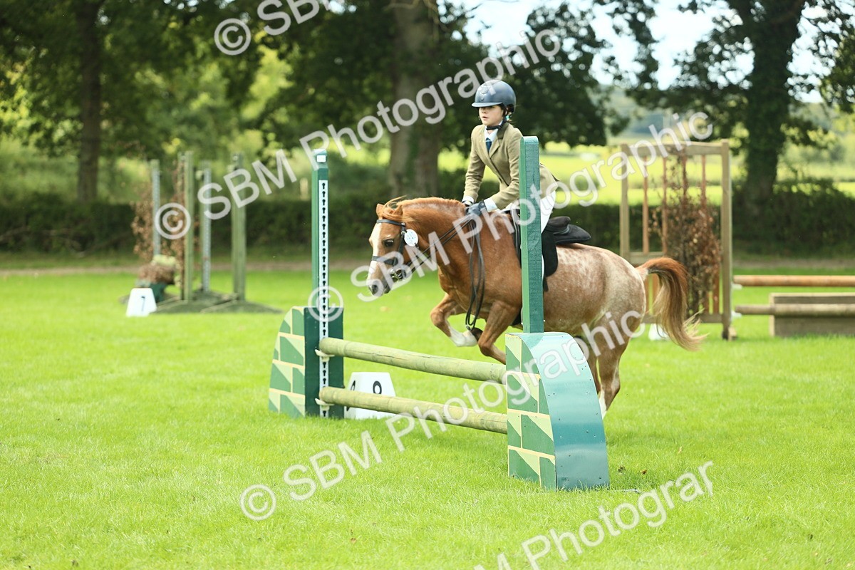 SBM_42738 - S30 - M&M Working hunter Pony
