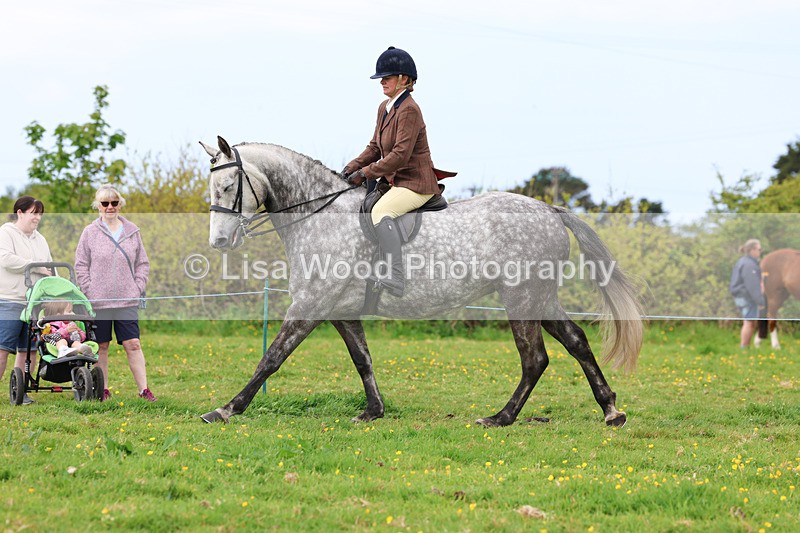 3E7A1289 - Class 7: Ridden Hunter Type