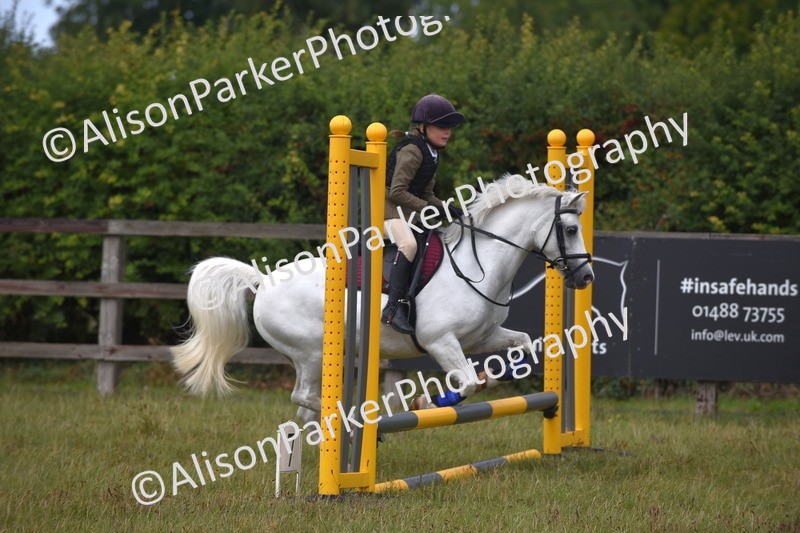 20250831-1876 - Class 9 - Absolute Novice 45cm