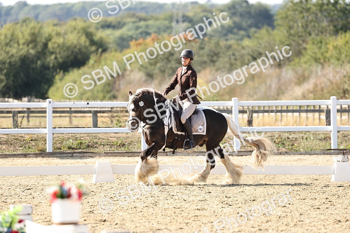 SBM_015282 - Class 9 - Advanced medium 3