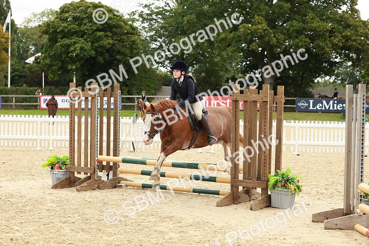 SBM_67160 - J13 - Junior Pony 60cm Championship