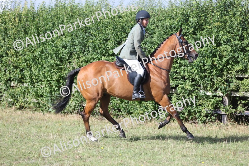 20250831-0828 - Class 14 - Ex Racehorse