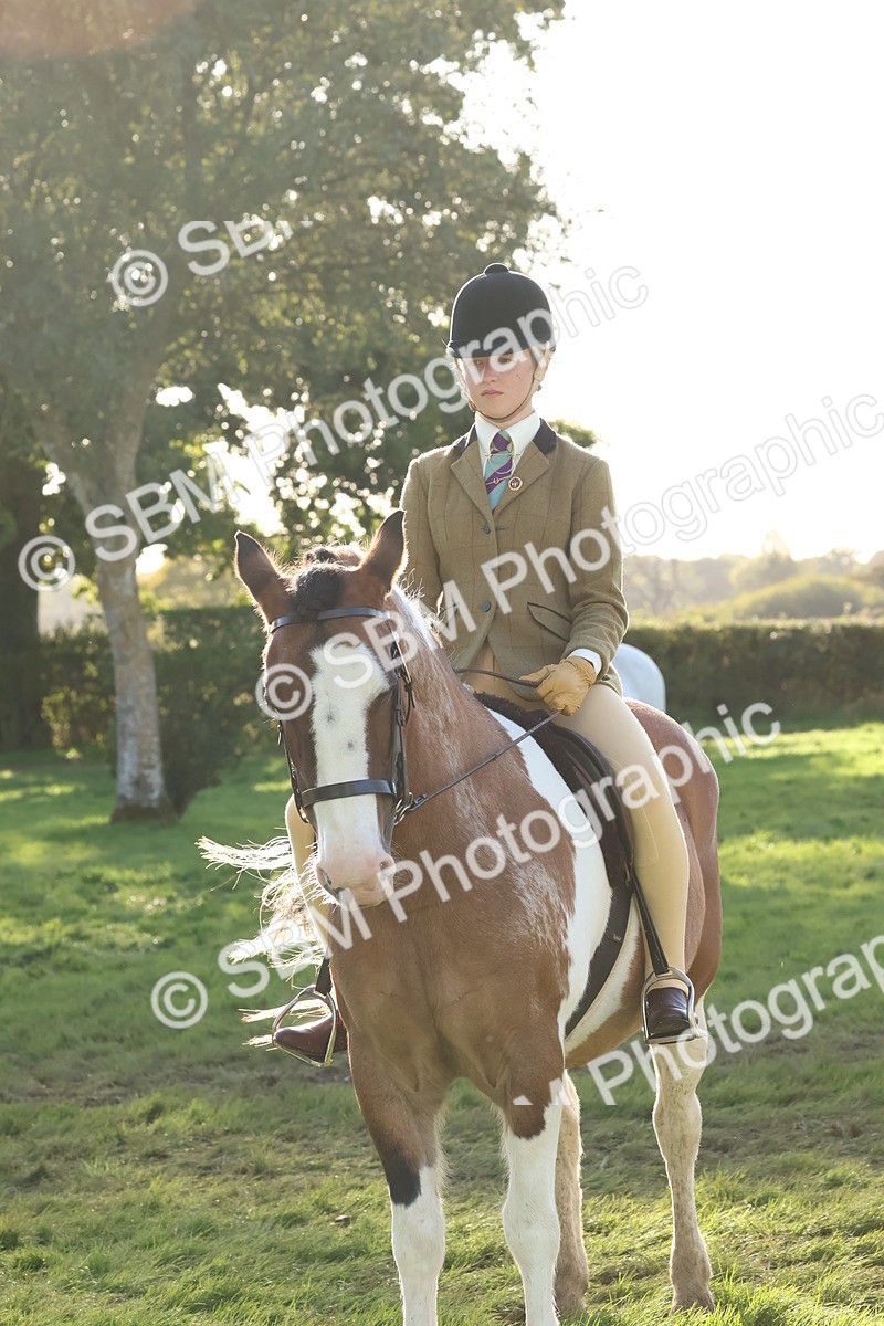 SBM_52659 - S13 - Pony Club Pony