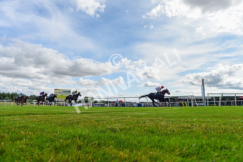 090725-Race 5-Cosmic Soul-5933 - Race 5