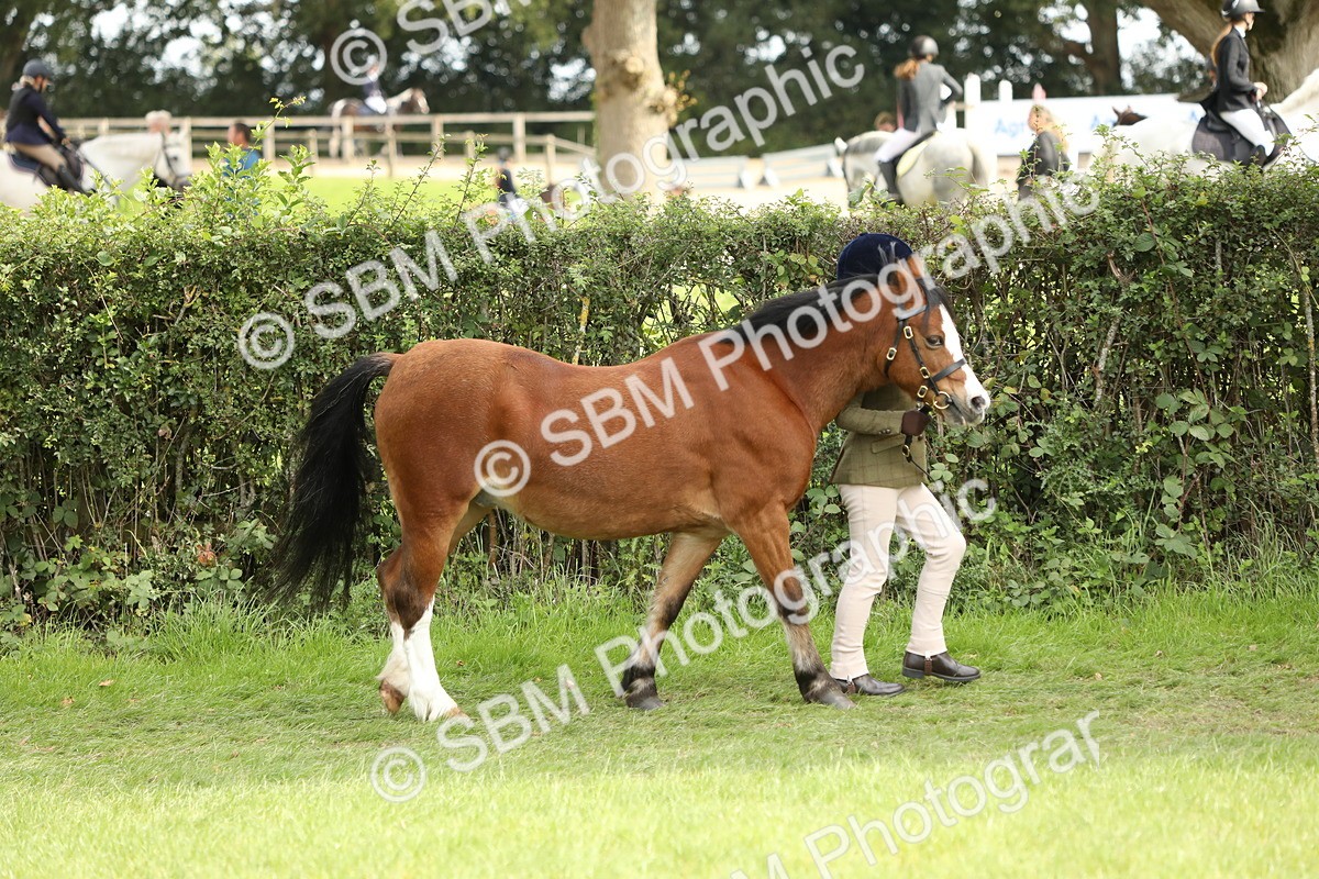 SBM_67682 - S39 - Junior Handler 8  Years & Under