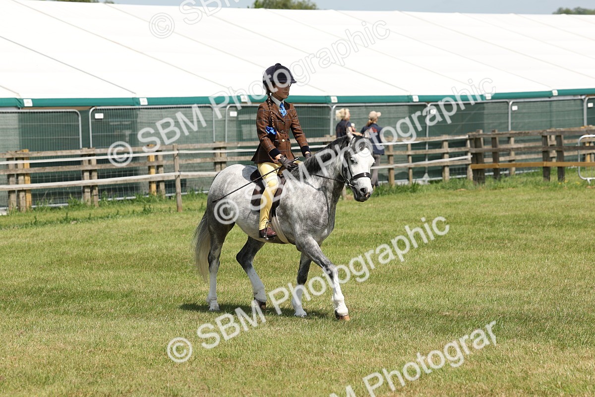 SBM_05350 - Class 24-25 - Mountain & Moorland In Hand Lead Rein and First Ridden