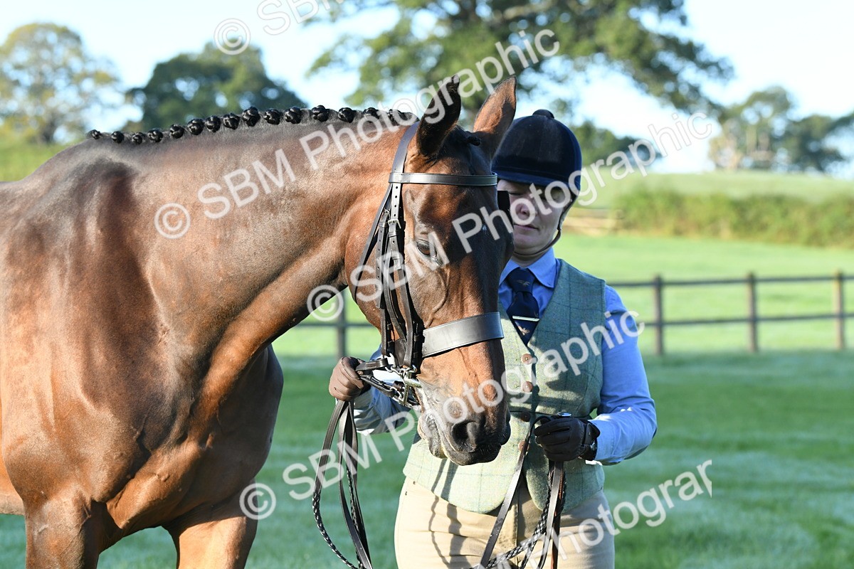 SBM_32640 - S15 - Condition & Turnout In Hand