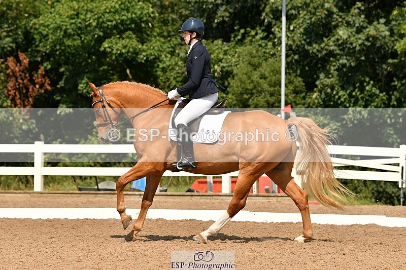 250817-123943-09663 - 155-Tamsin.OConnorRiversides.Caballero