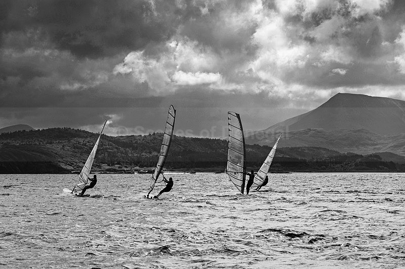 DSC_0442-Edit - Others