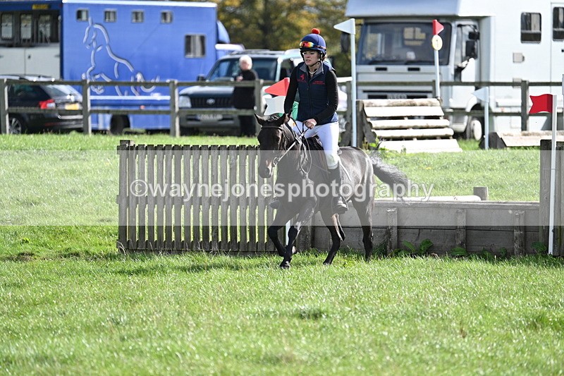 WJ7_8585 - 60cm Pairs