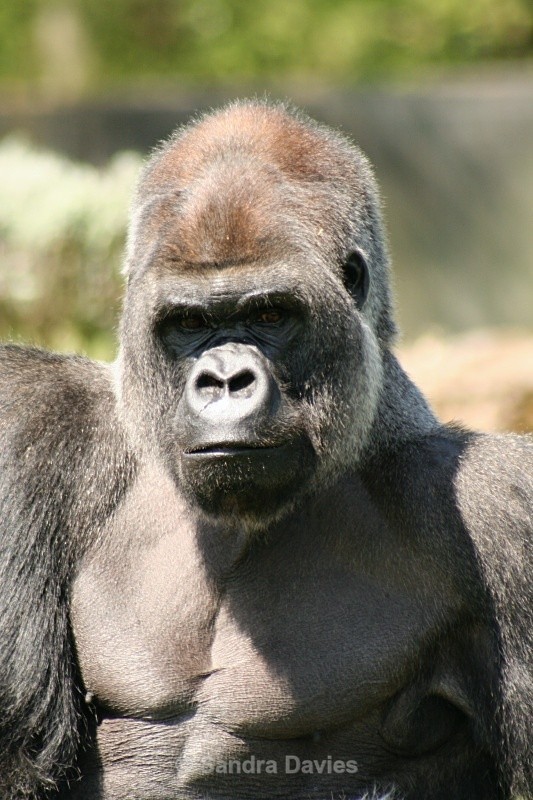  - Wildlife & People
