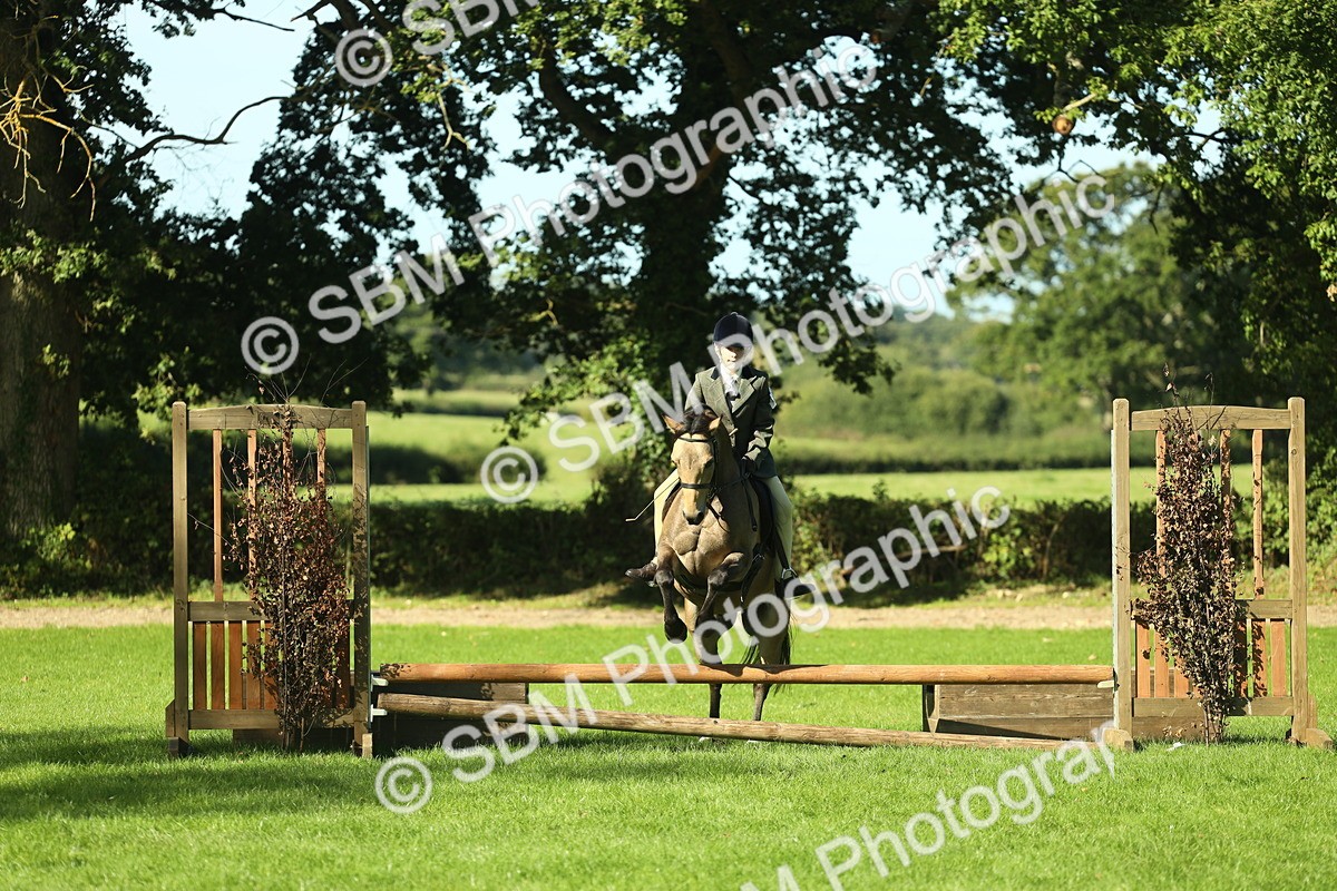 SBM_36503 - S29 - Novice & Newcomers Working Hunter Pony