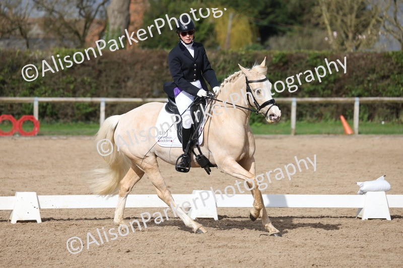 20260301-0645 - Class 4 - Novice 5