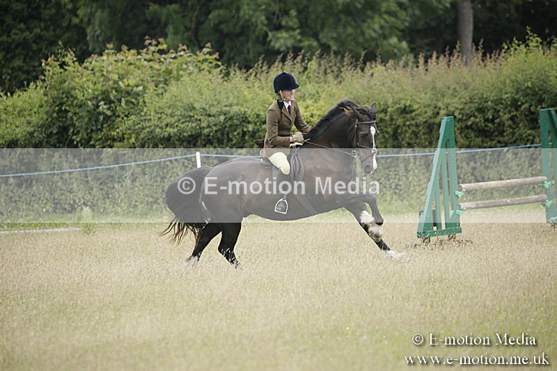 B230619-0722 - Bourne Valley Riding Club Summer Show 23/06/19