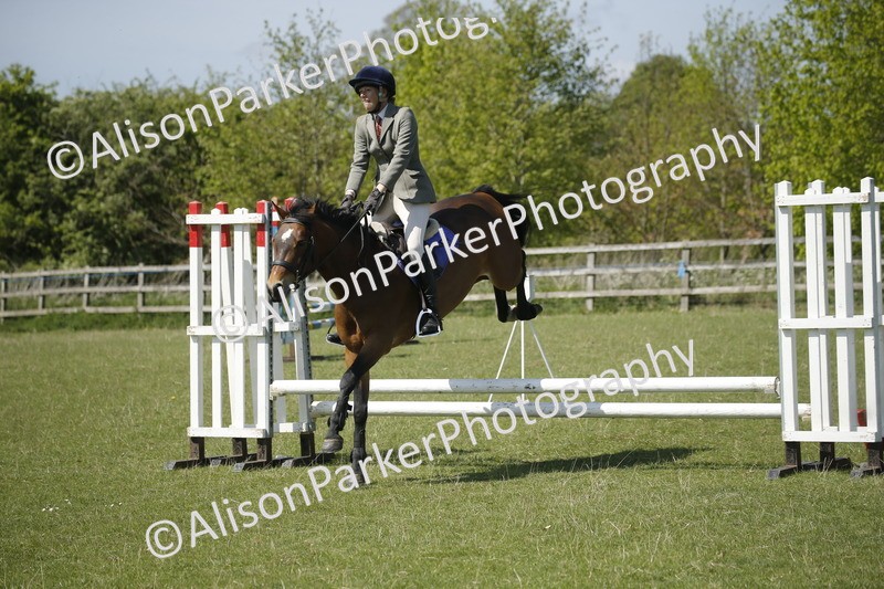 20250427-2272 - Class 13 - Novice Jumping 60cm