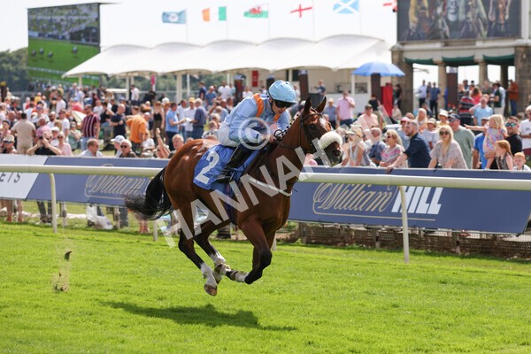 yr08072022r3-16 - Race 3 3.15pm William Hill Play Responsibly Irish EBF Novice Fillies Stakes