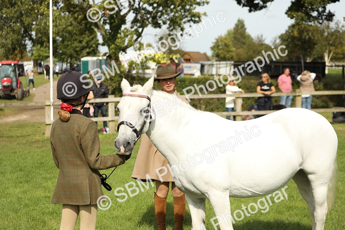 SBM_68642 - S40 - Junior Handler 9-12 Years