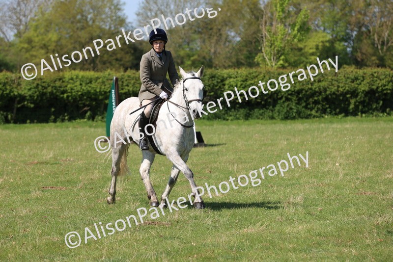 20250427-2439 - Class 19 - Mini Working Hunter