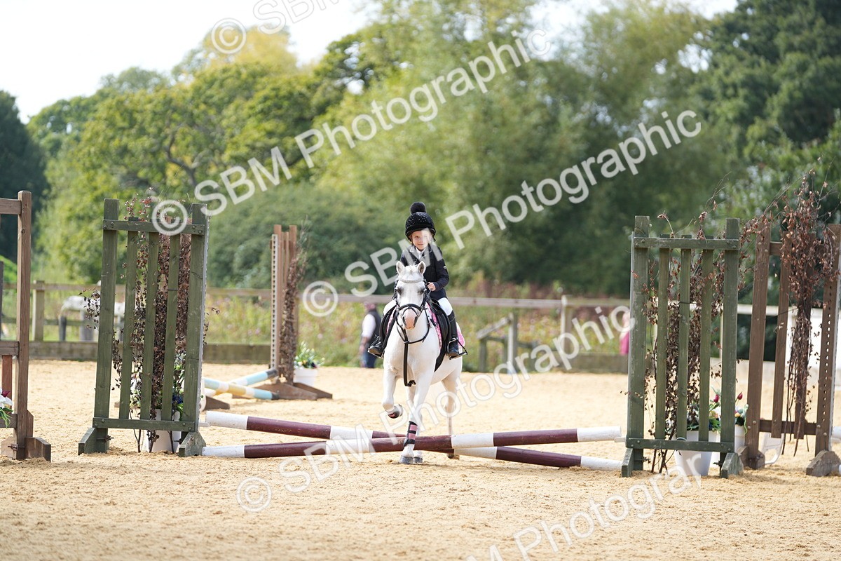 SBM_64589 - J2 - Mini Tour Junior Pony 30cm Championship