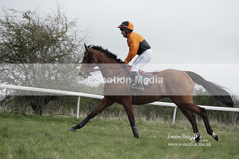 PtP 260323 0674 - New Forest Hounds Point-to-Point Larkhill 26/03/23