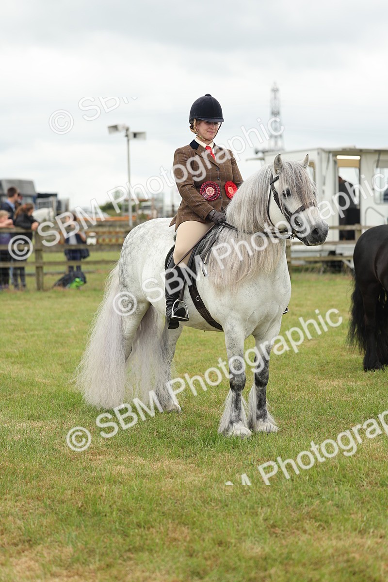 SBM_09036 - Class 78-80 - Ridden M&M Non Welsh Ponies