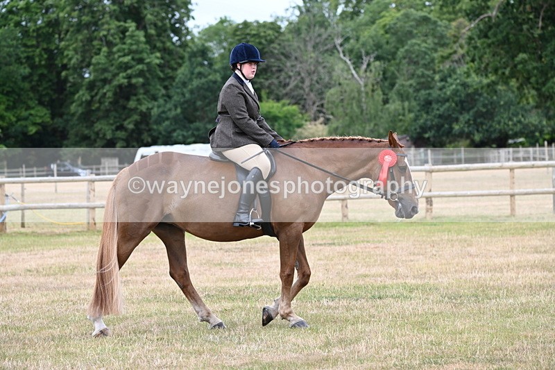 WJ6_4076 - Class 9 Tack & Turnout