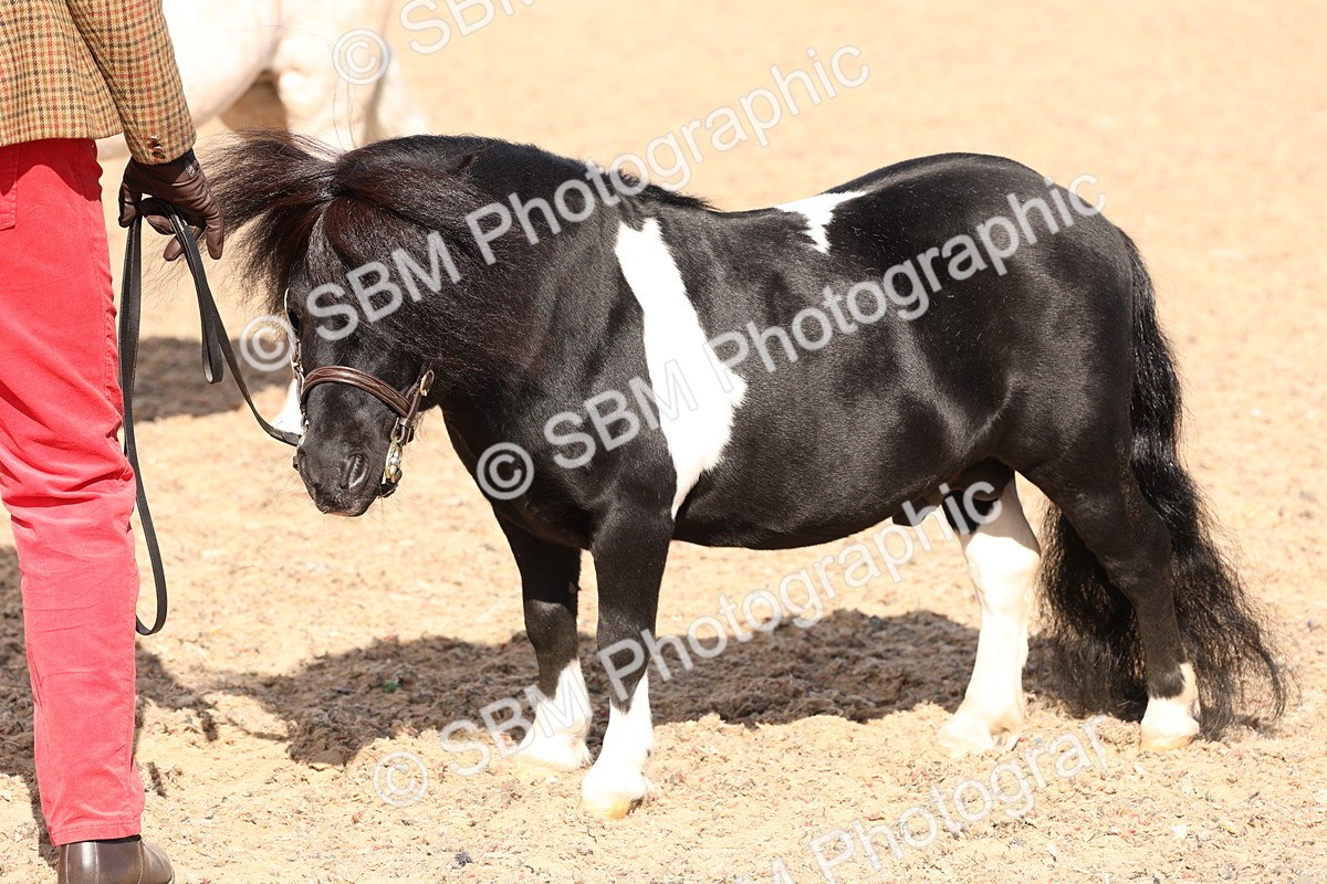 SBM_14127 - Class 207 - IH M&M