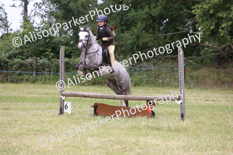 20260614-3121 - Class 22 - Open Working Hunter