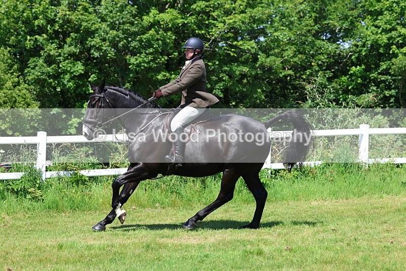 3E7A7256 - Class 30: Novice Working Hunter