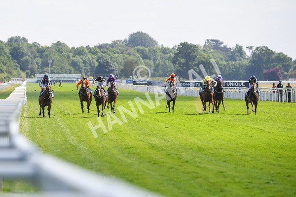 160623-Race 3-Radio Goo Goo-0383 - Race 3 3.00pm British EBF Supporting Racing With Pride Fillies' Handicap