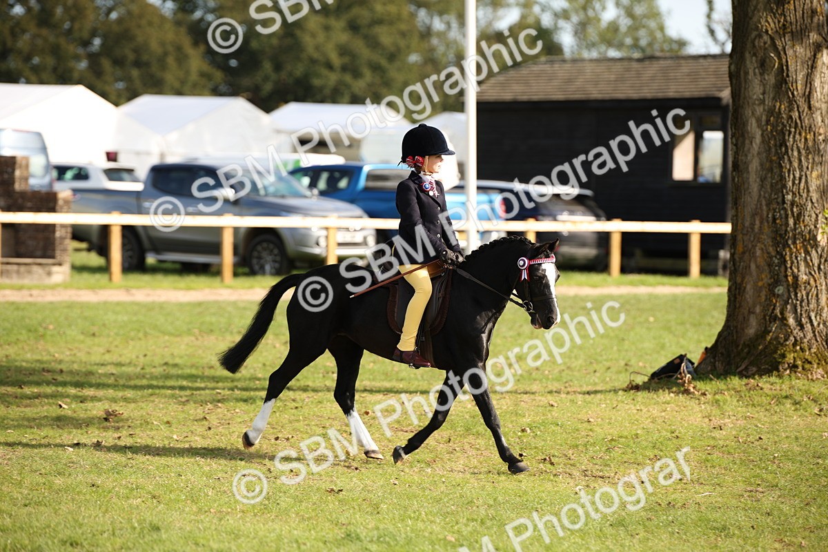 SBM_50144 - S26 - Young Veteran - Ridden