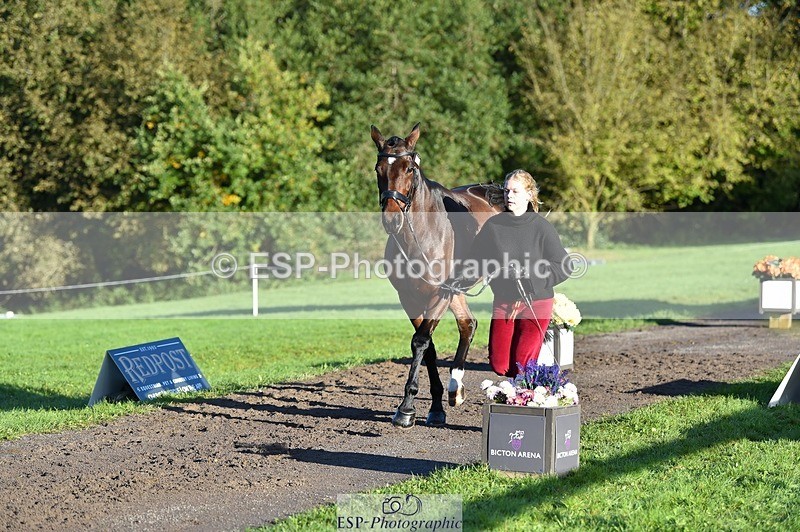 231022-092824-21811 - 685-ADRENALIN.II-Cosima.Atkinson-TrotUp+SJ