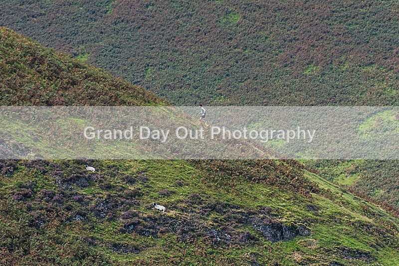 Barrow-13 - Barrow Fell Race Monday 28th August 2023