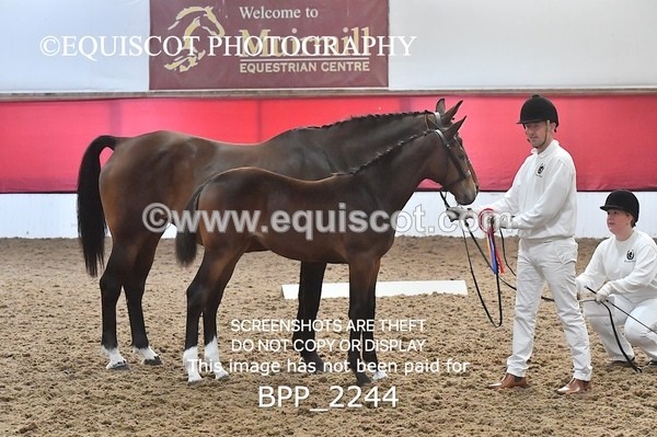 BPP_2244 - AFTERNOON 12.30 - 3.30PM