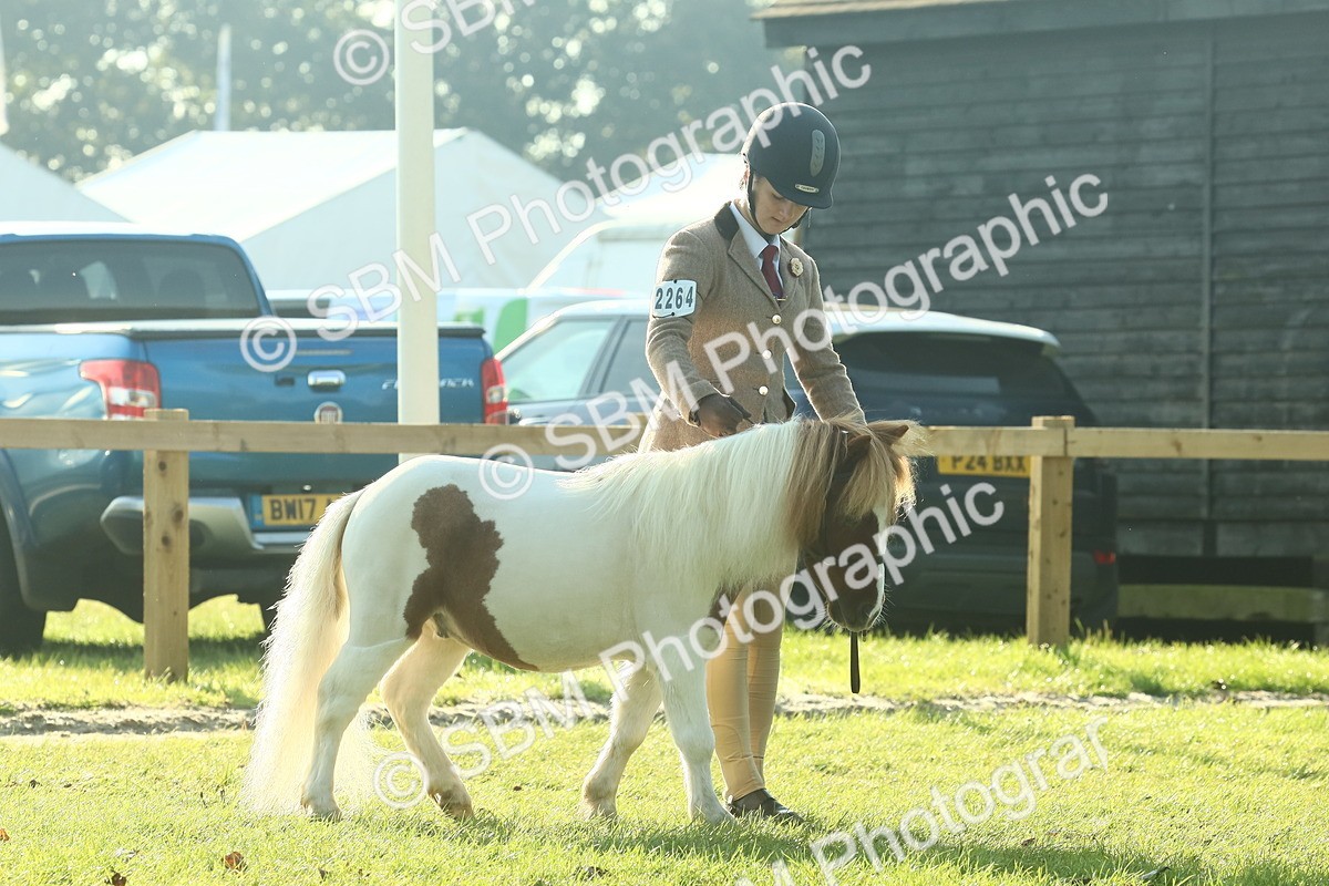 SBM_58549 - S37 - Starters In Hand Showing