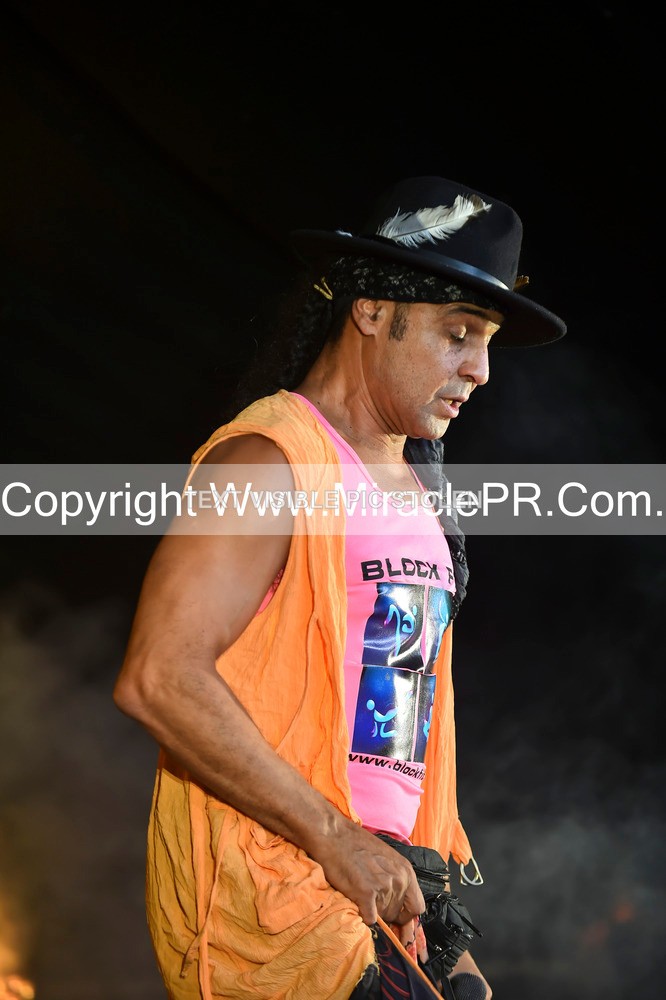 SH4_4354 - Chico