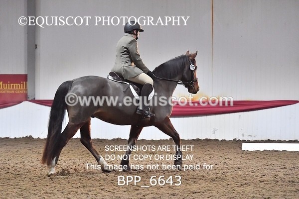 BPP_6643 - CLASS 1 INTRO TEST 2