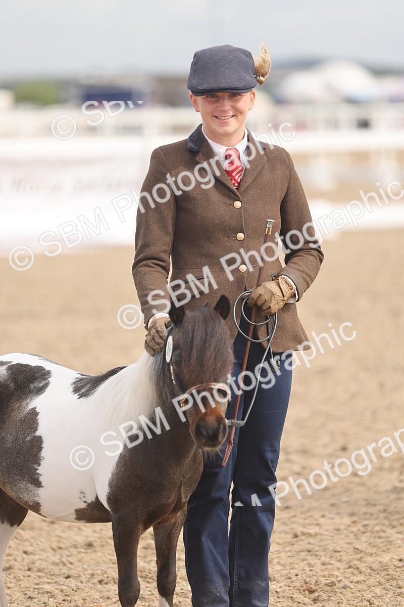 SBM_04567 - Class 19 - Horse/Pony Judge would most like to take home